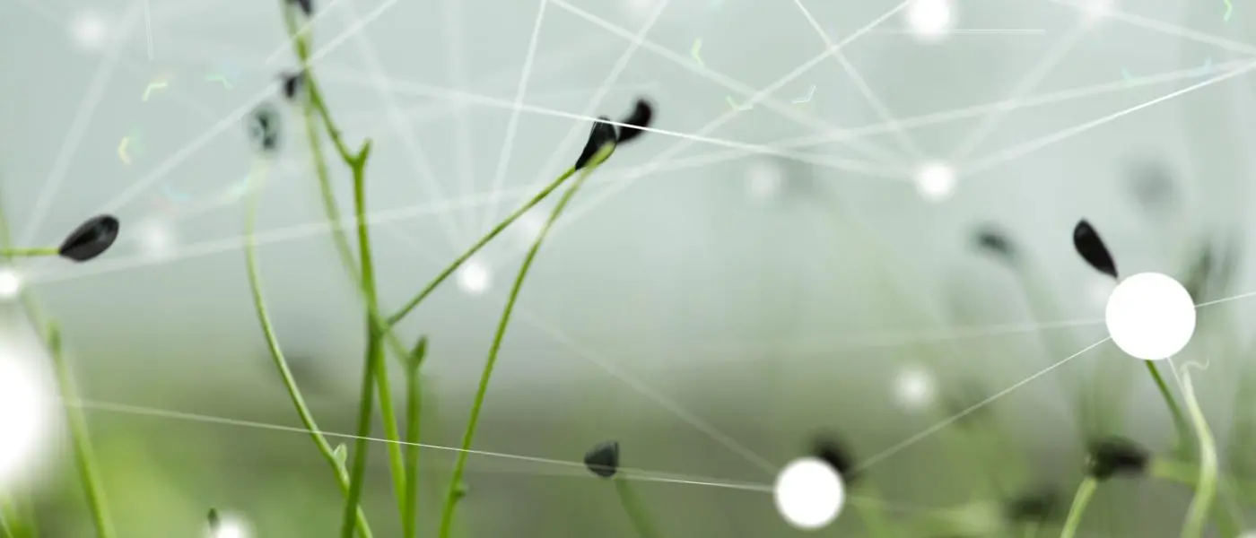 Green Coding