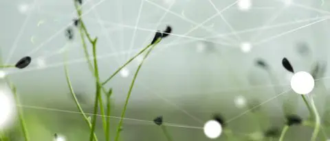 Green Coding