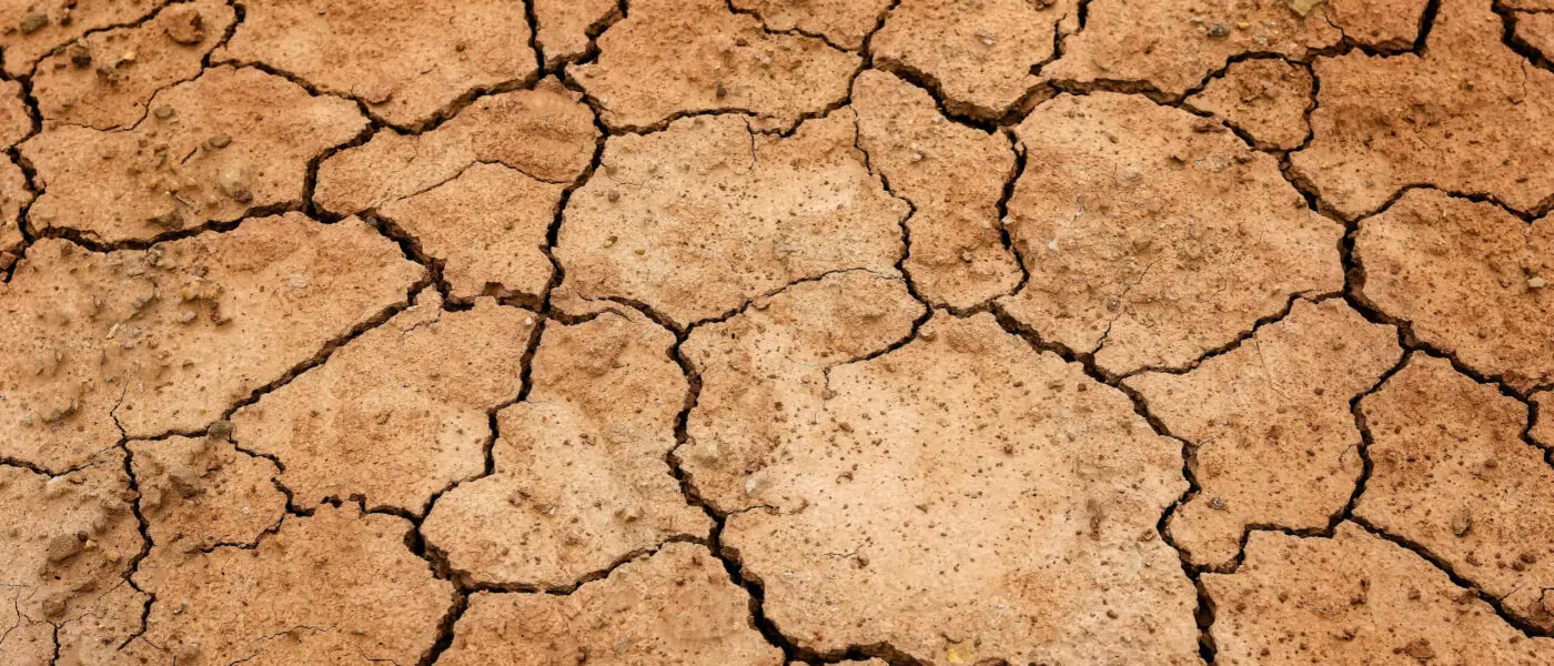 Klimastresstest